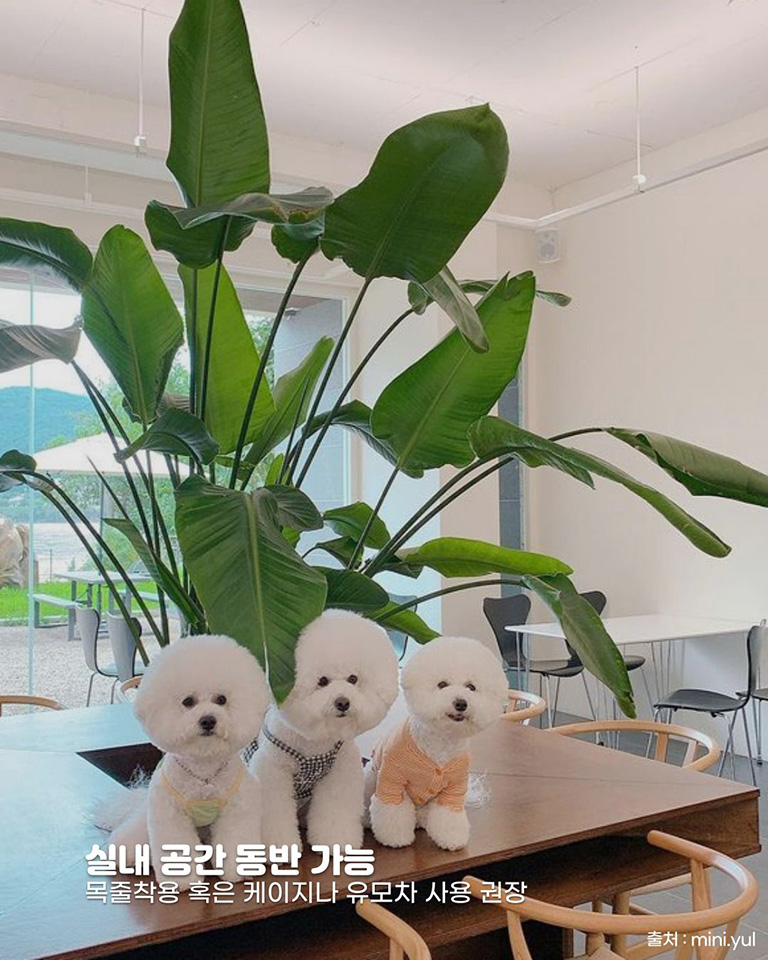 엠아르