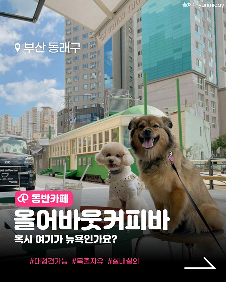 올어바웃커피바