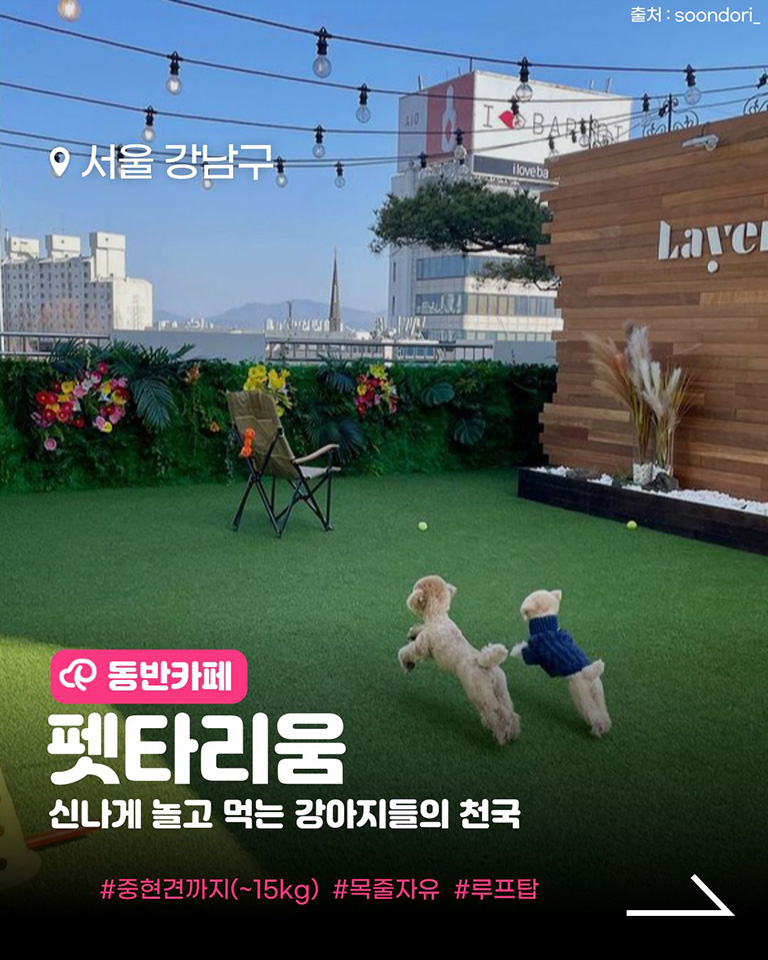 펫타리움