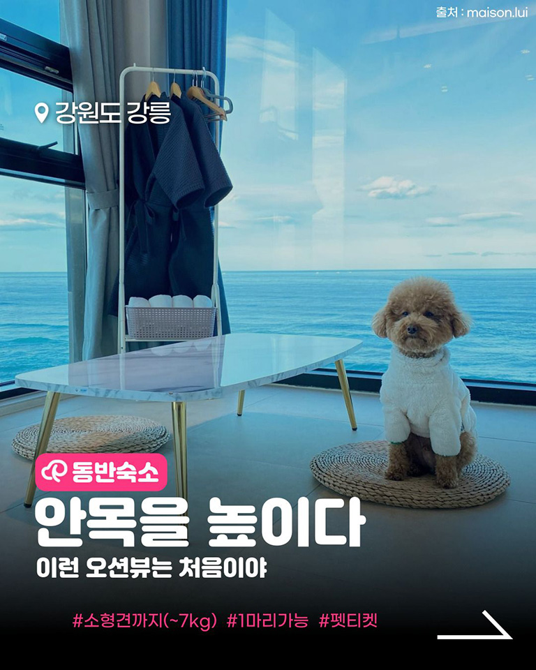 안목을높이다
