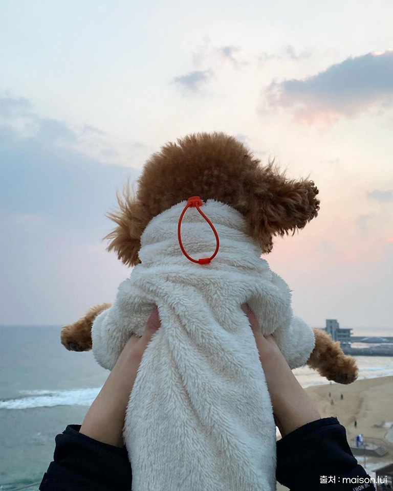 안목을높이다