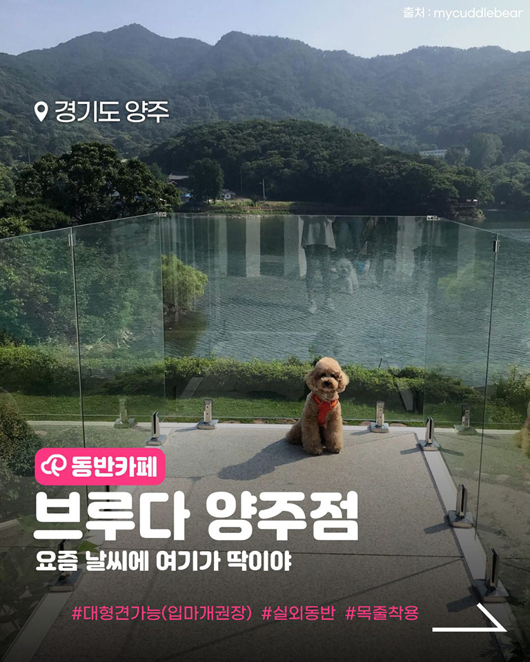 브루다 양주점