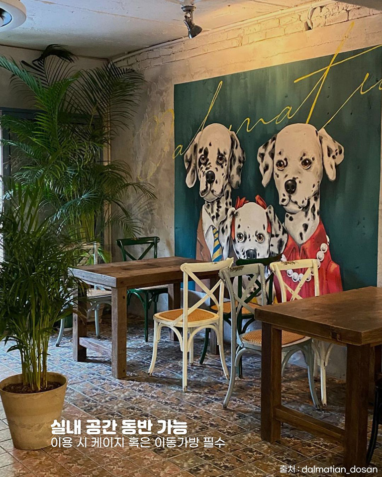 달마시안