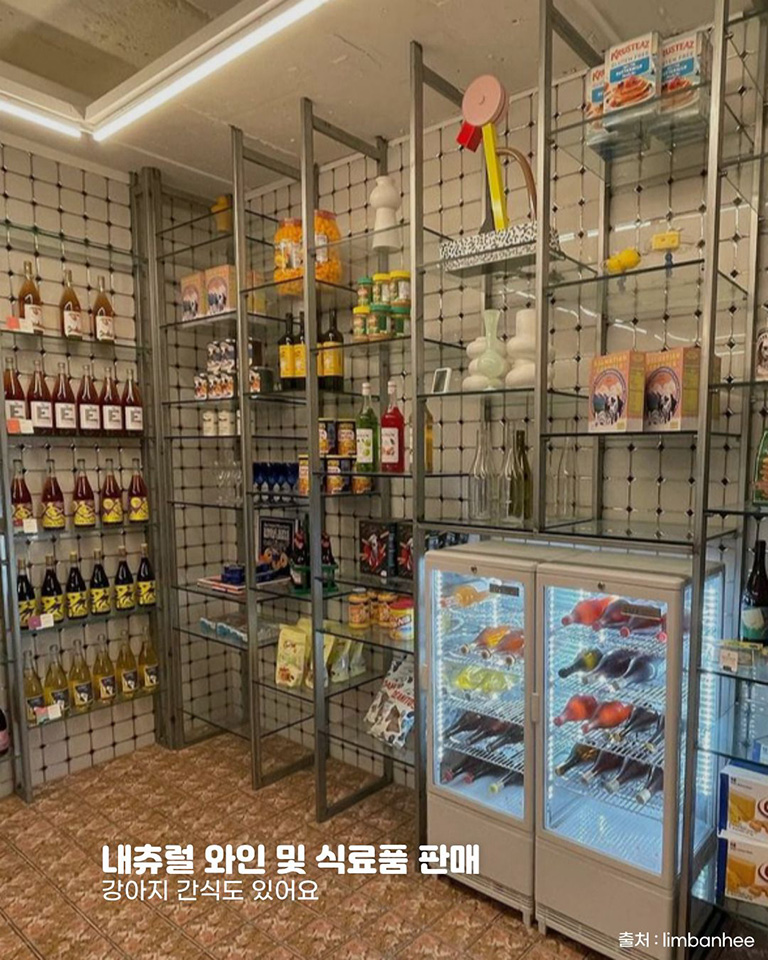 달마시안
