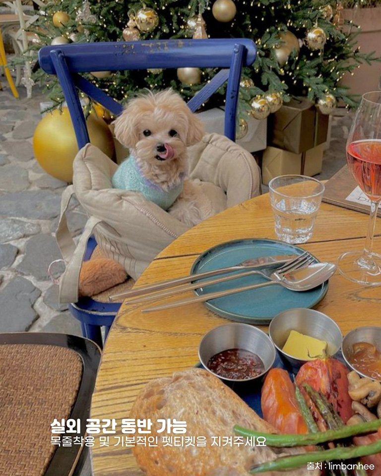 달마시안