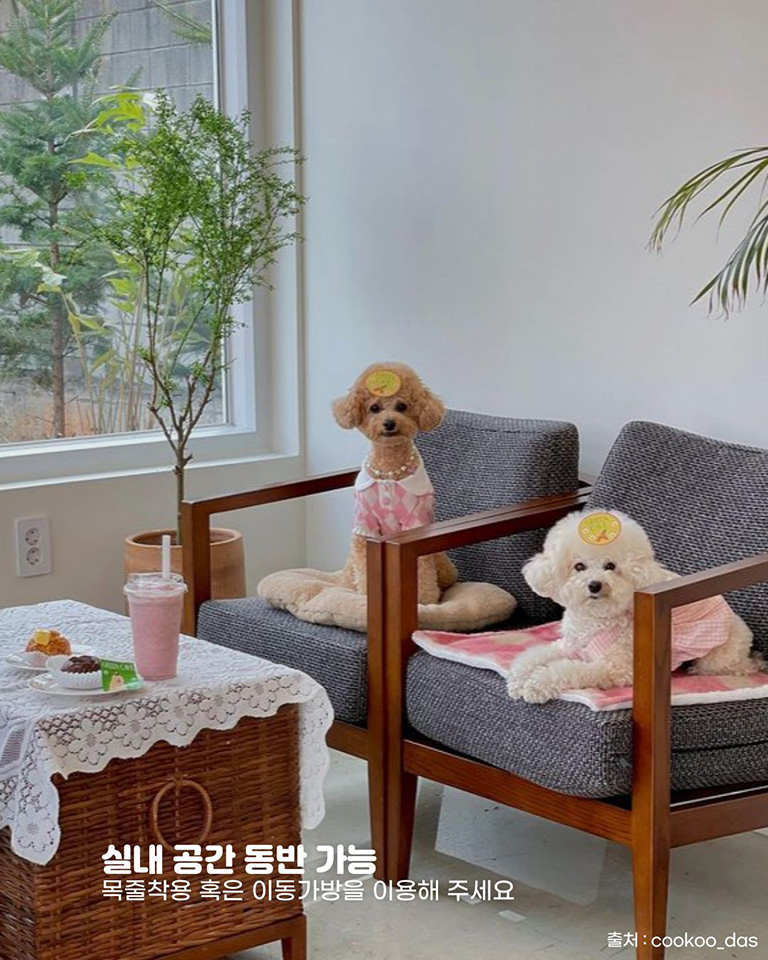 그린케이브