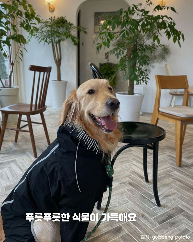 그린케이브