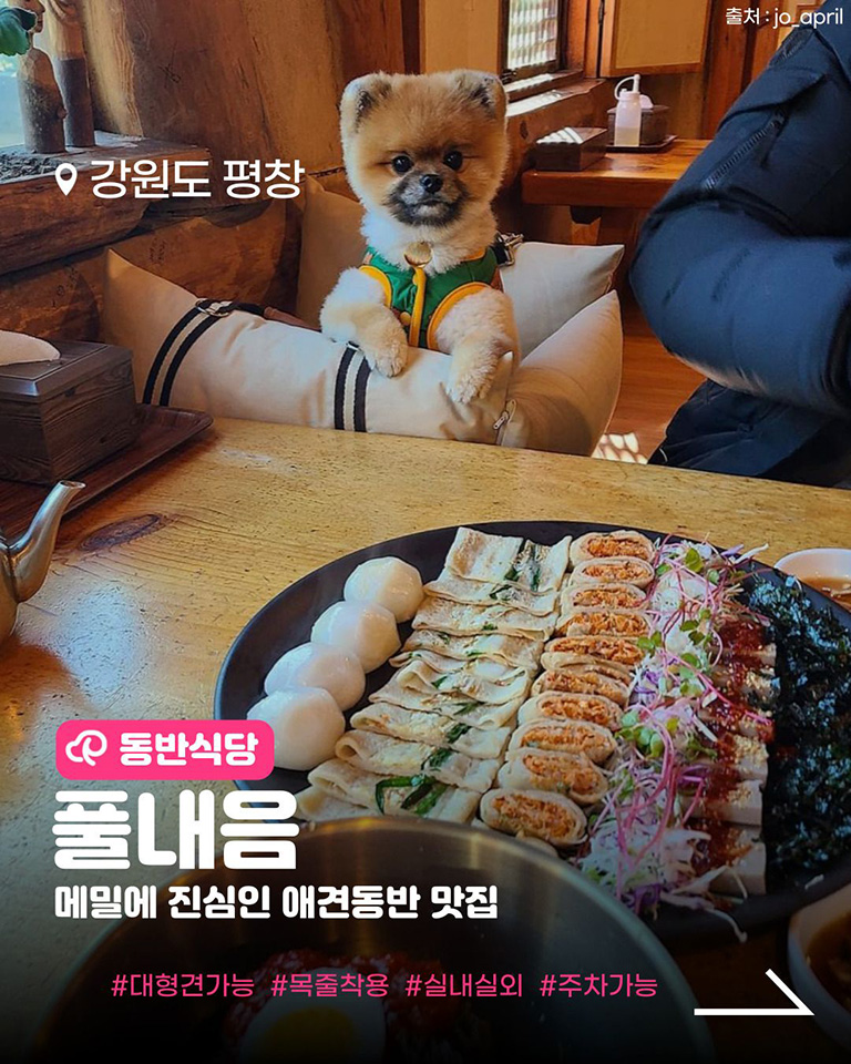풀내음