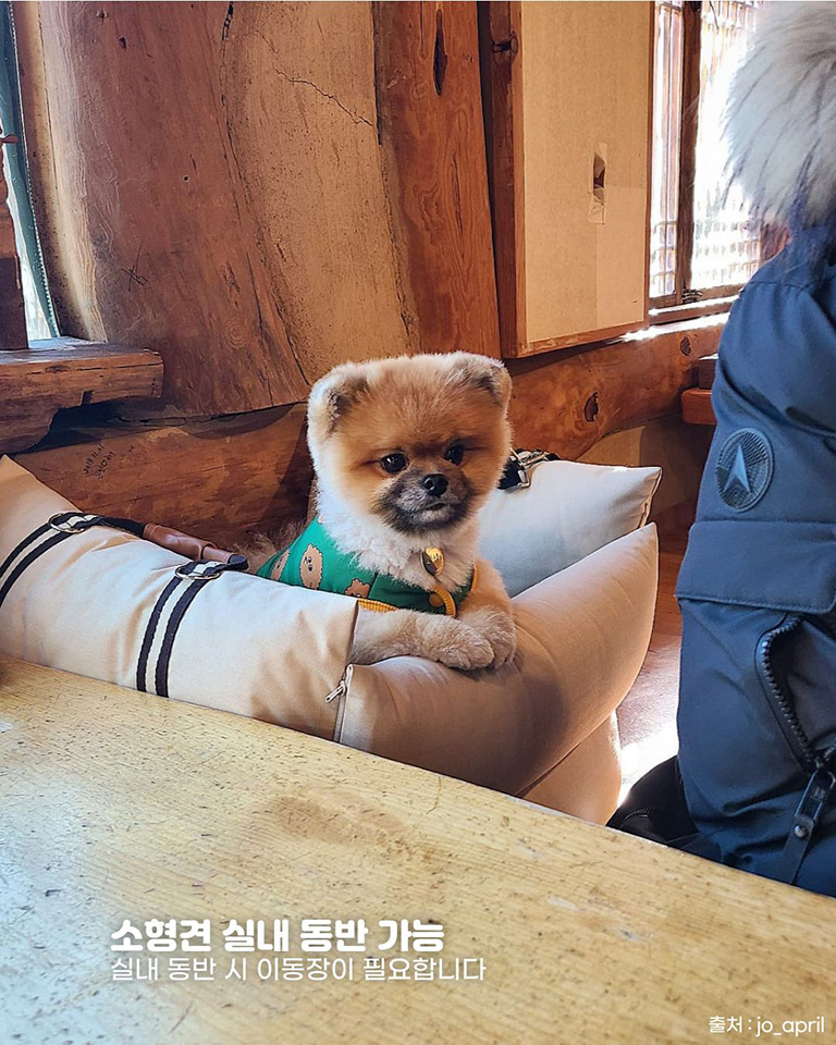 풀내음