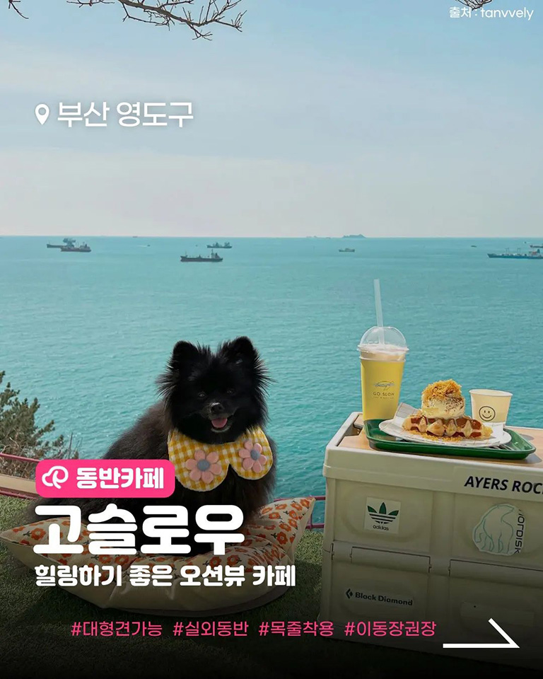 고슬로우