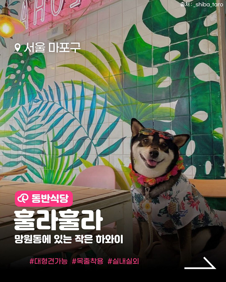 훌라훌라