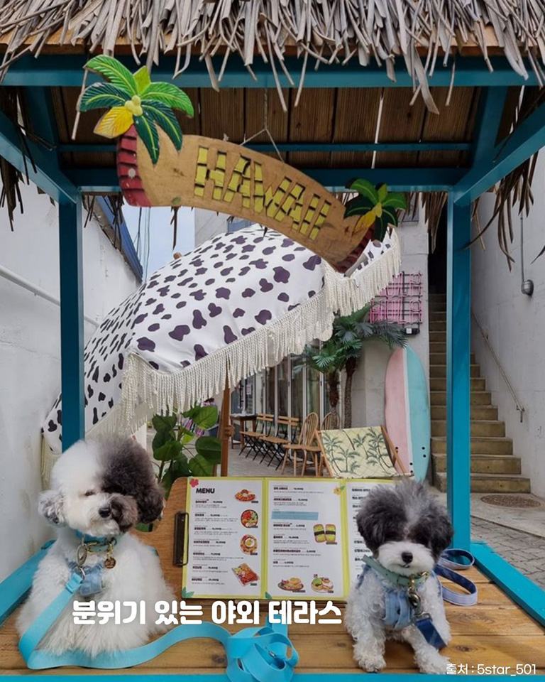 훌라훌라