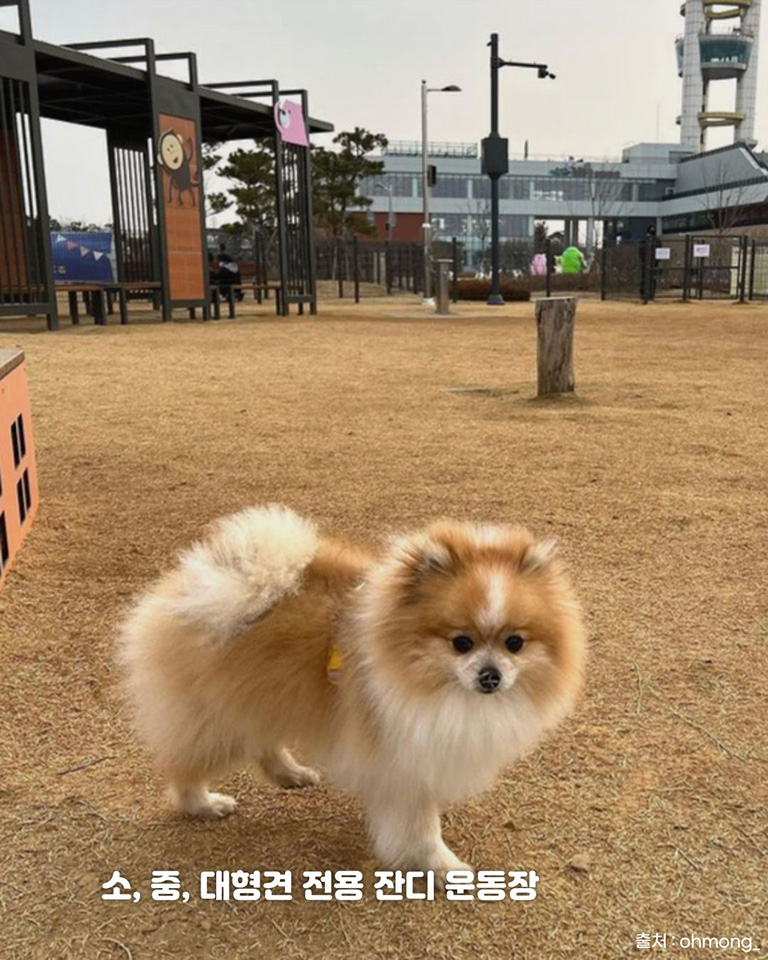 오산반려동물테마파크