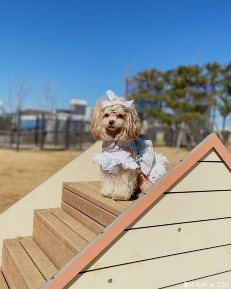 오산반려동물테마파크