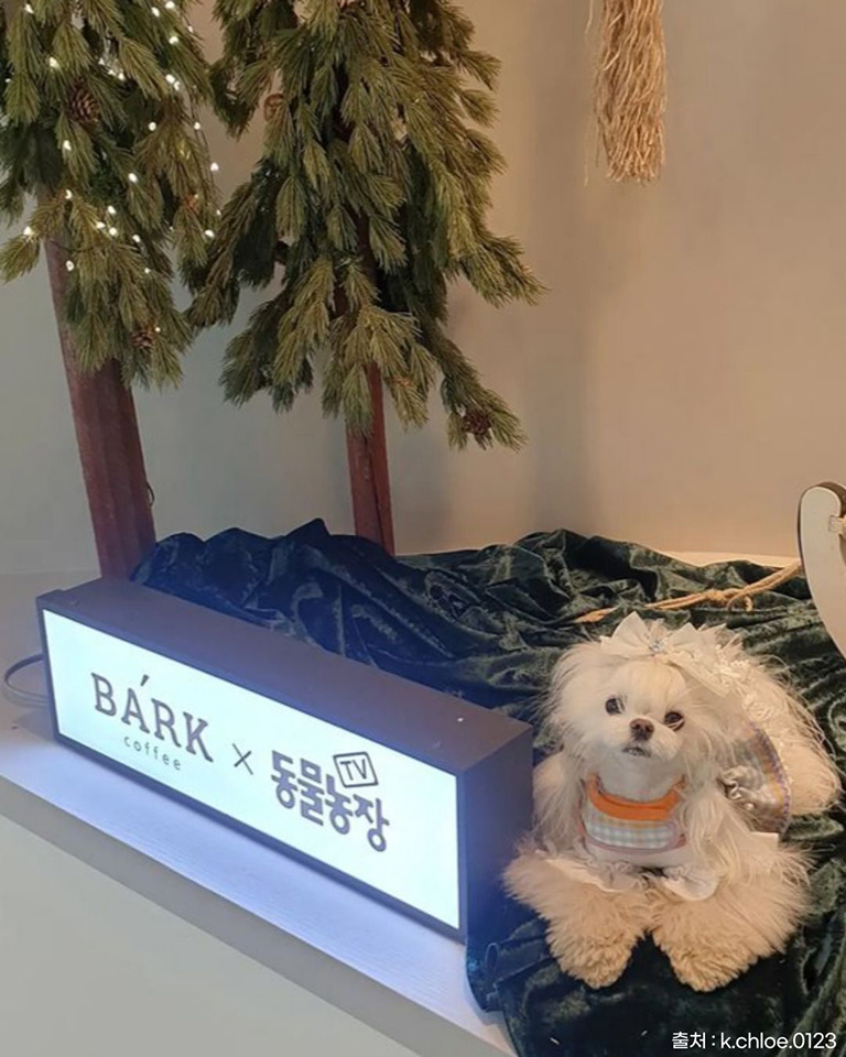 오산반려동물테마파크