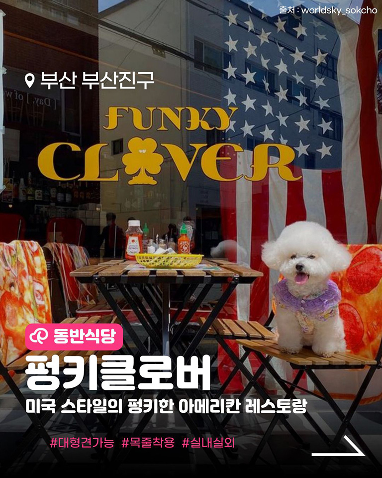 펑키클로버