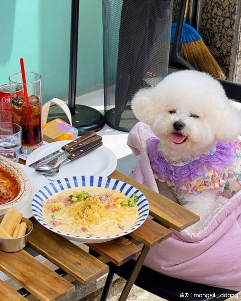 펑키클로버