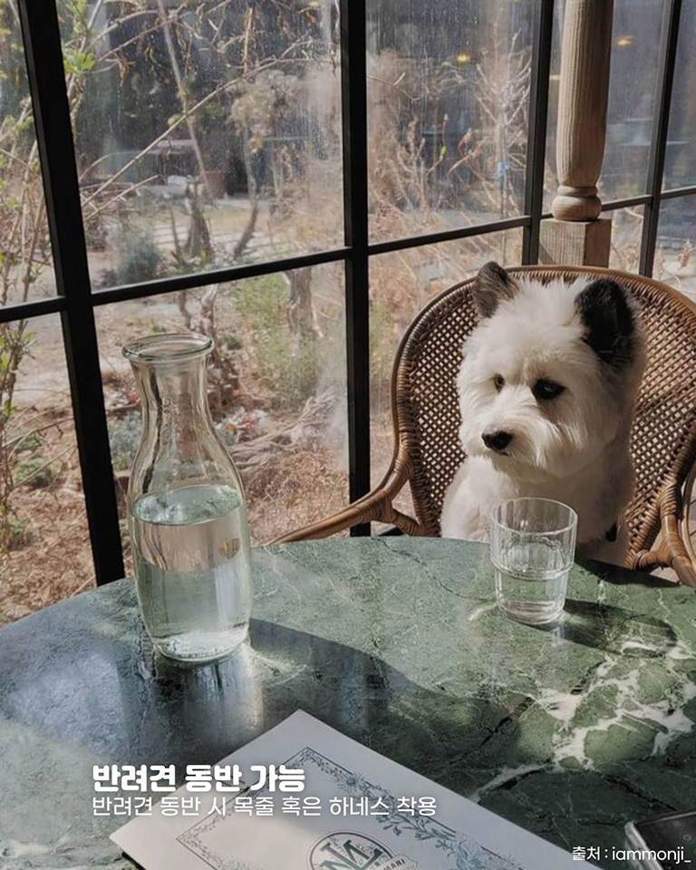 모스가든