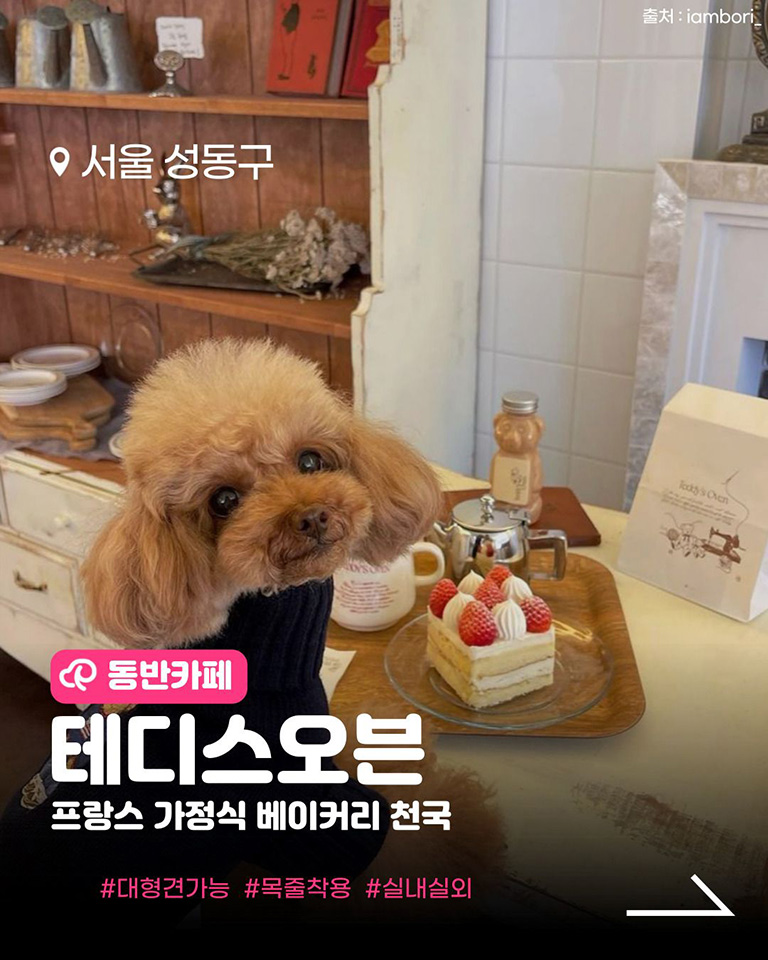 테디스오븐