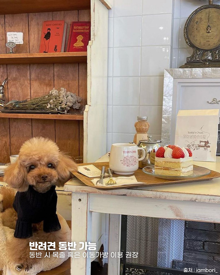 테디스오븐