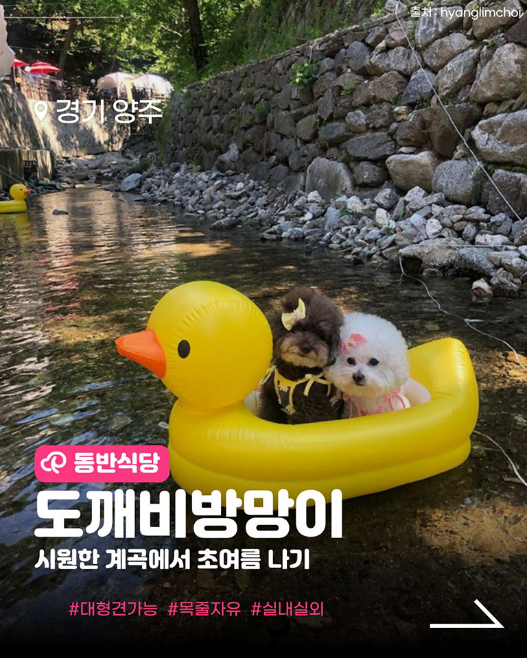 장흥도깨비방망이