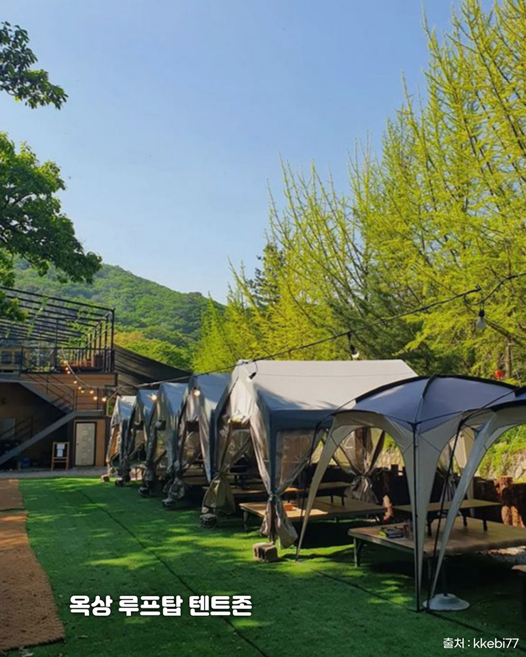 장흥도깨비방망이