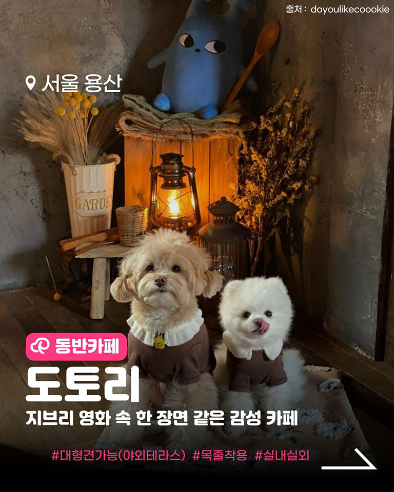 도토리