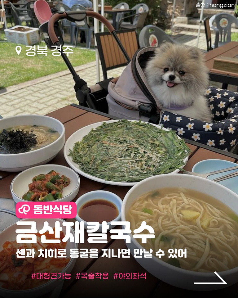 금산재칼국수