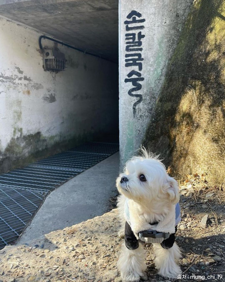 금산재칼국수