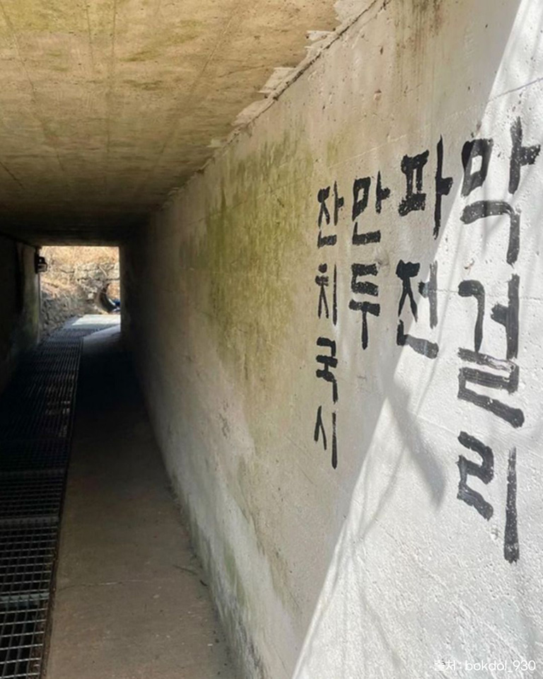 금산재칼국수