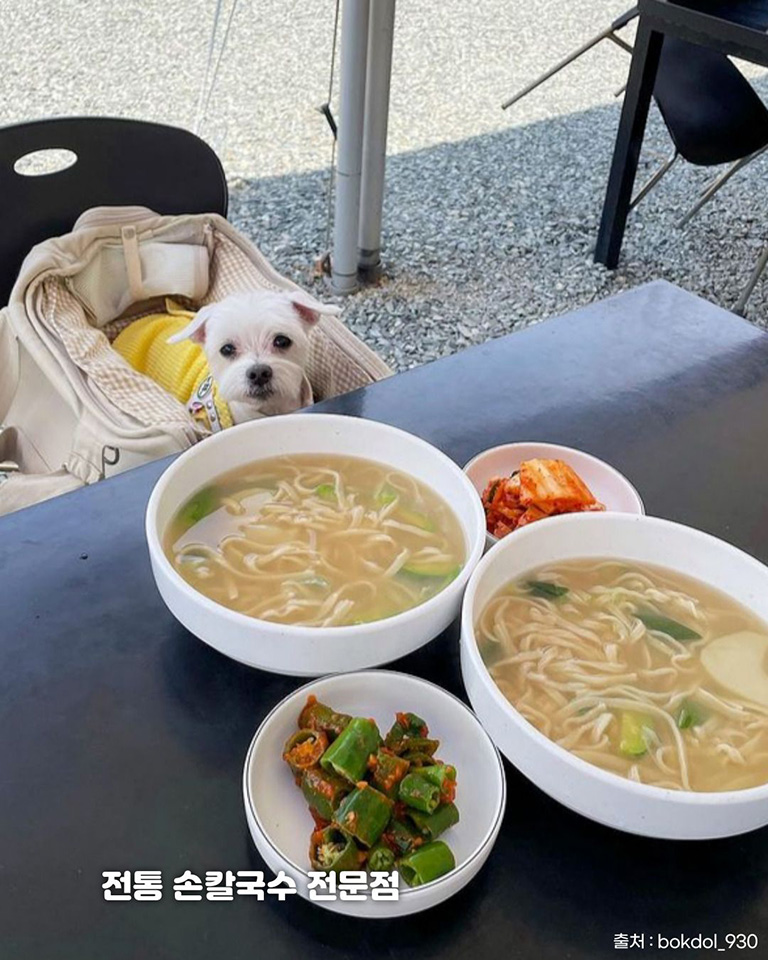 금산재칼국수