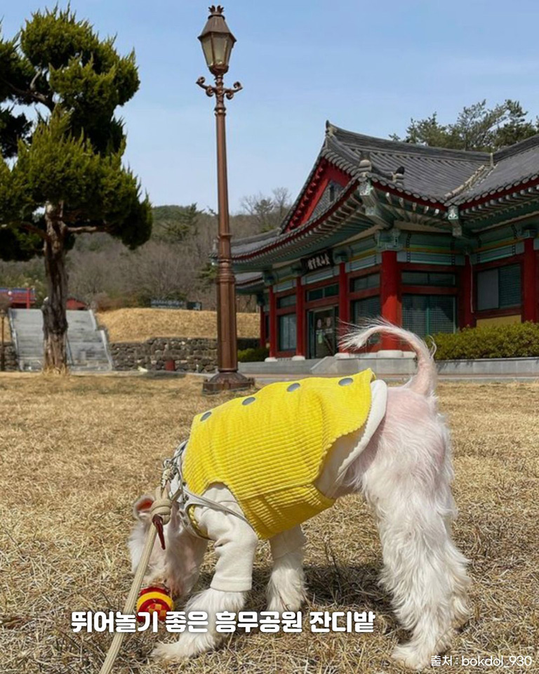 금산재칼국수