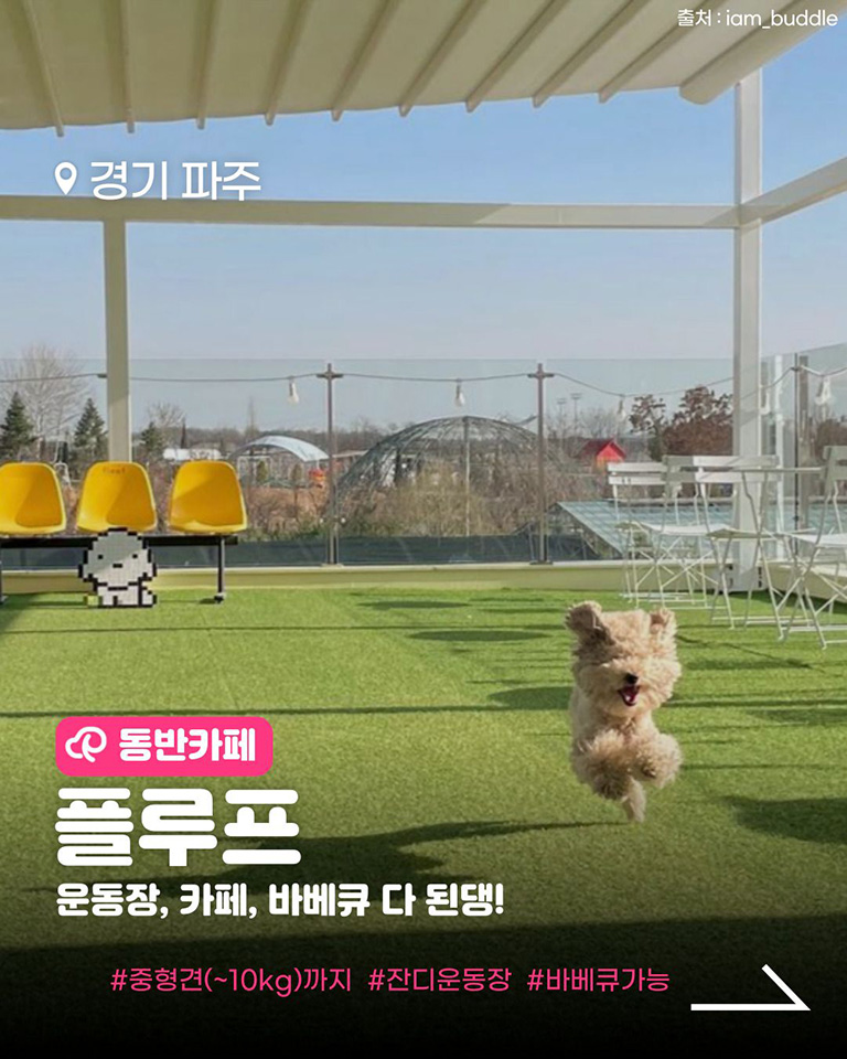 플루프