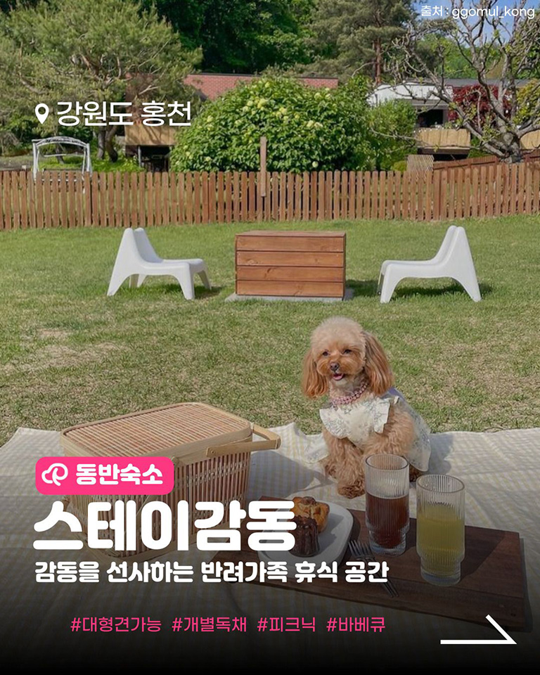 스테이감동