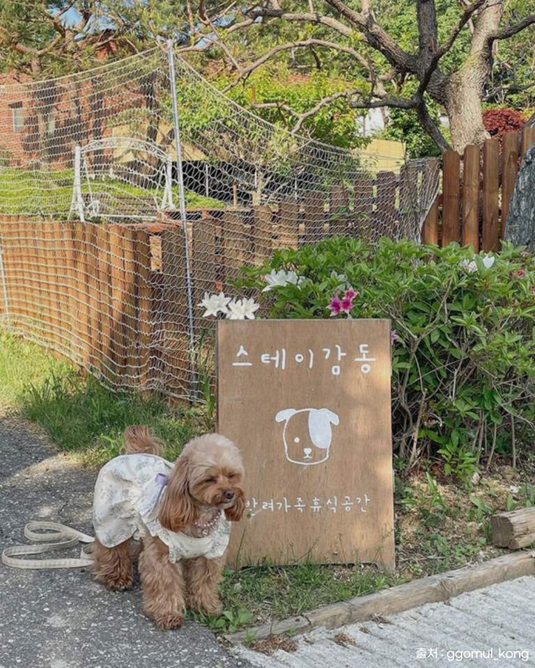 스테이감동
