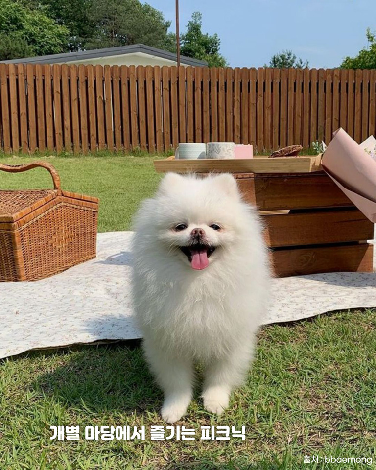 스테이감동