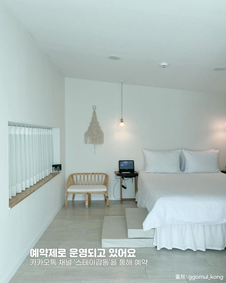 스테이감동