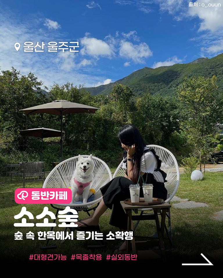 소소숲