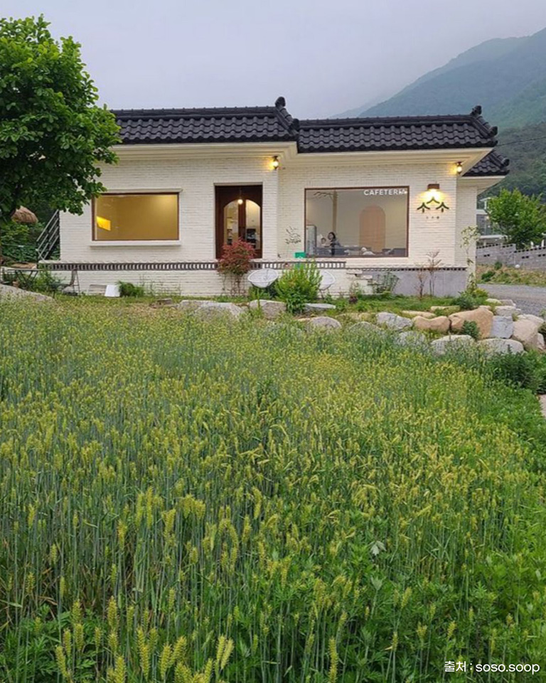 소소숲