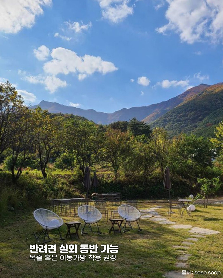 소소숲