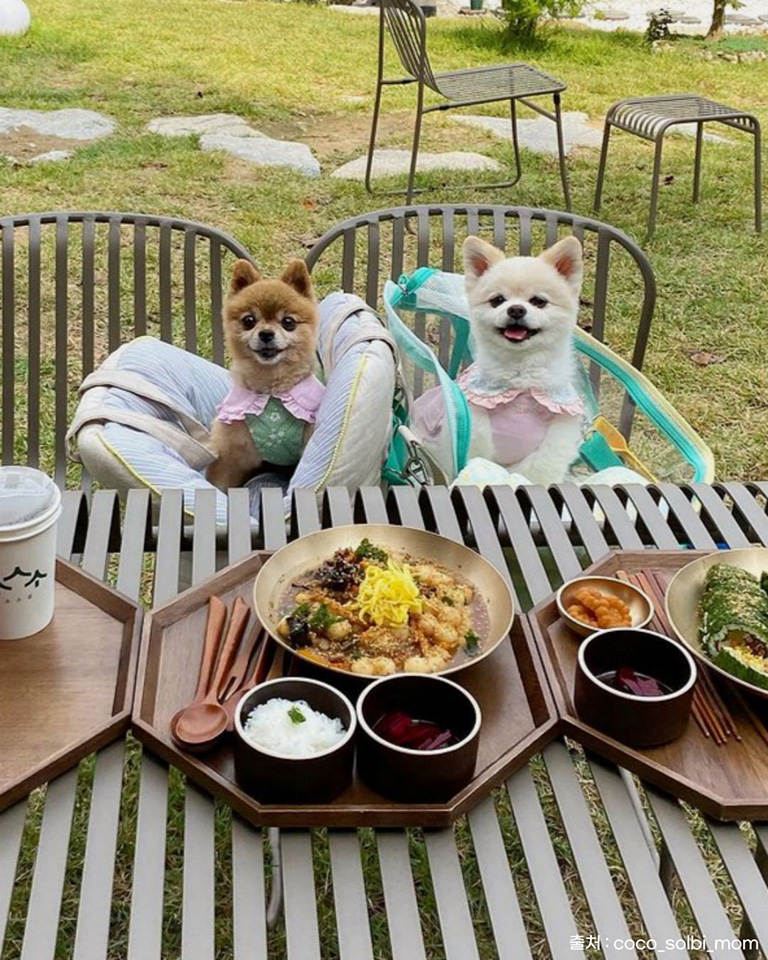 소소숲