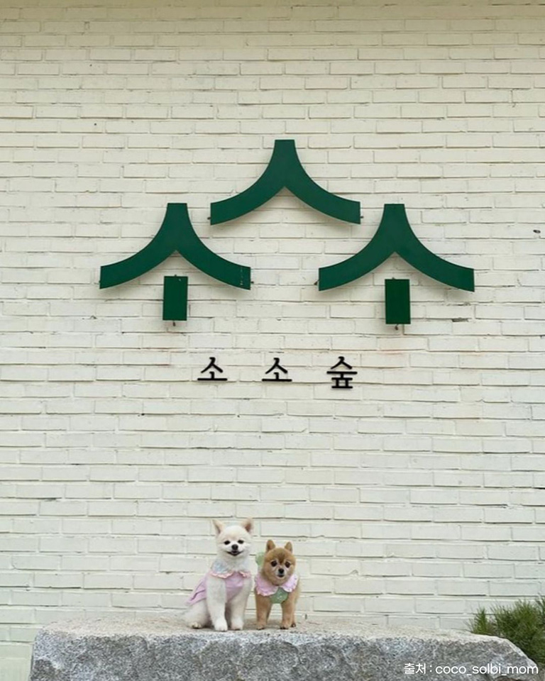 소소숲