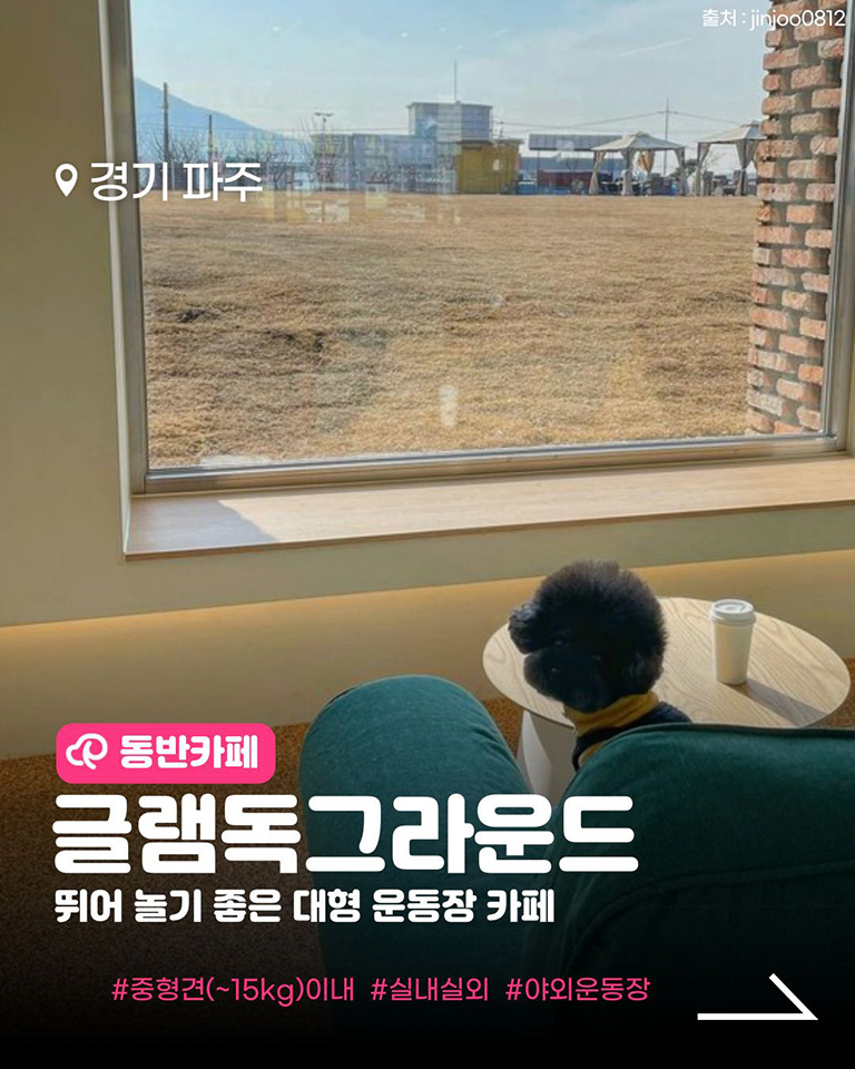글램독 그라운드 파주점