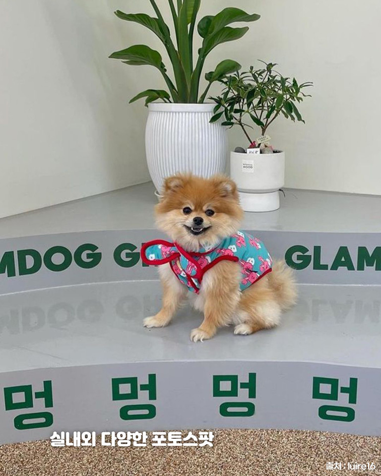 글램독 그라운드 파주점