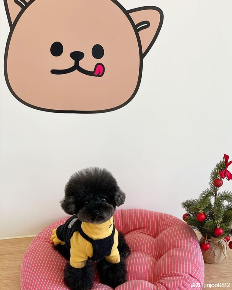 글램독 그라운드 파주점