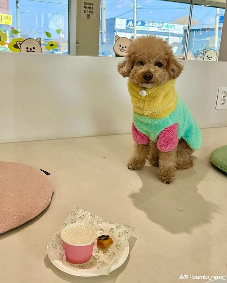 글램독 그라운드 파주점