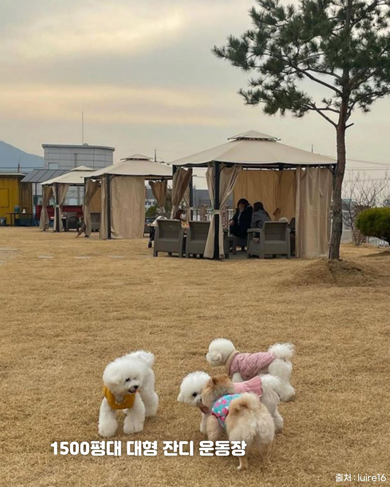 글램독 그라운드 파주점