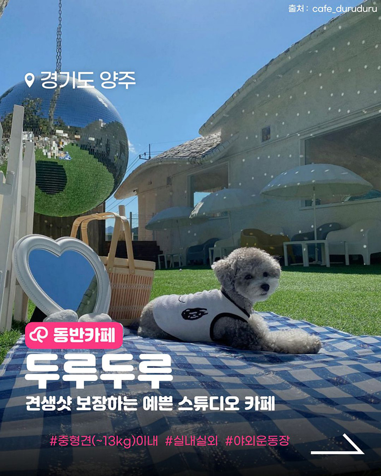 두루두루