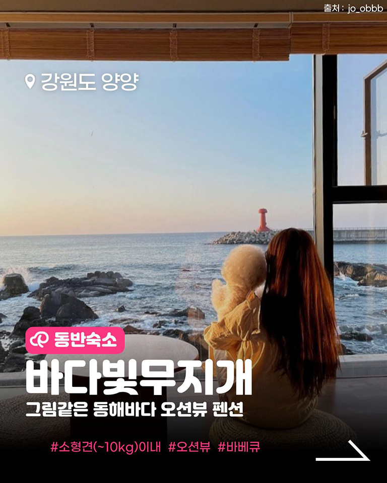 양양오션뷰애견펜션 바다빛무지개