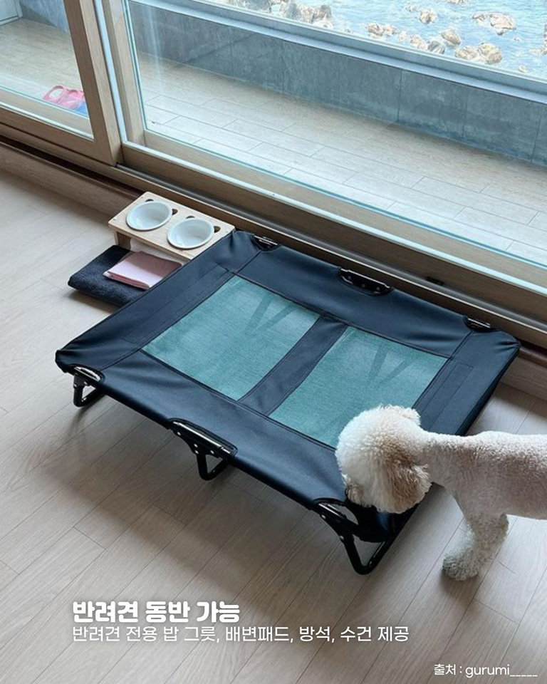 양양오션뷰애견펜션 바다빛무지개